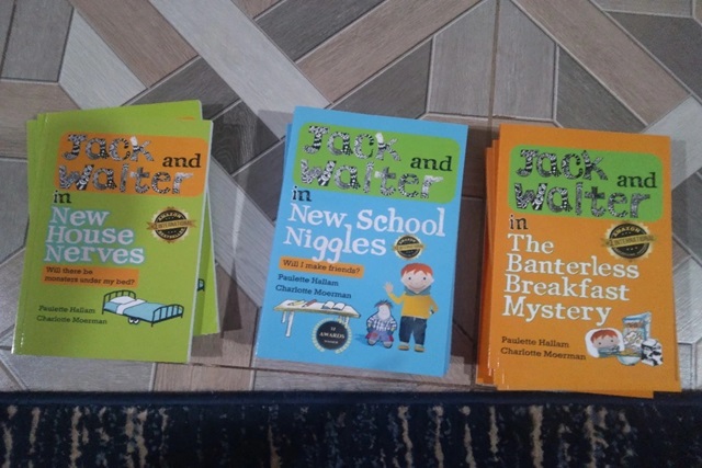 Author book publishing campaign in progress